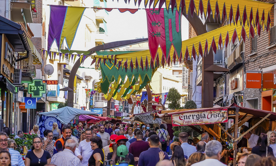 Mercado Medieval en Torrejon de la Calzada | Medievallink