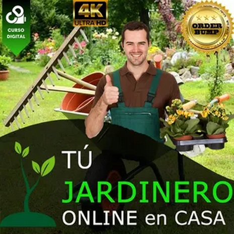 Tu jardinero online en casa | Medievallink